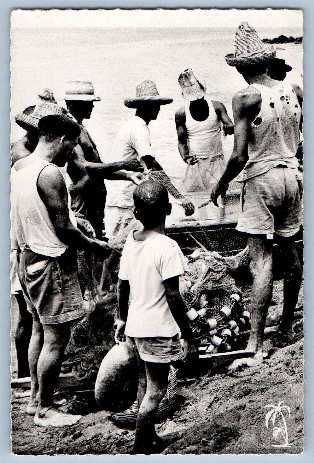 Martinique Postcard Bringing in the Fish c1940\'s Unposted Vintage RPPC Photo