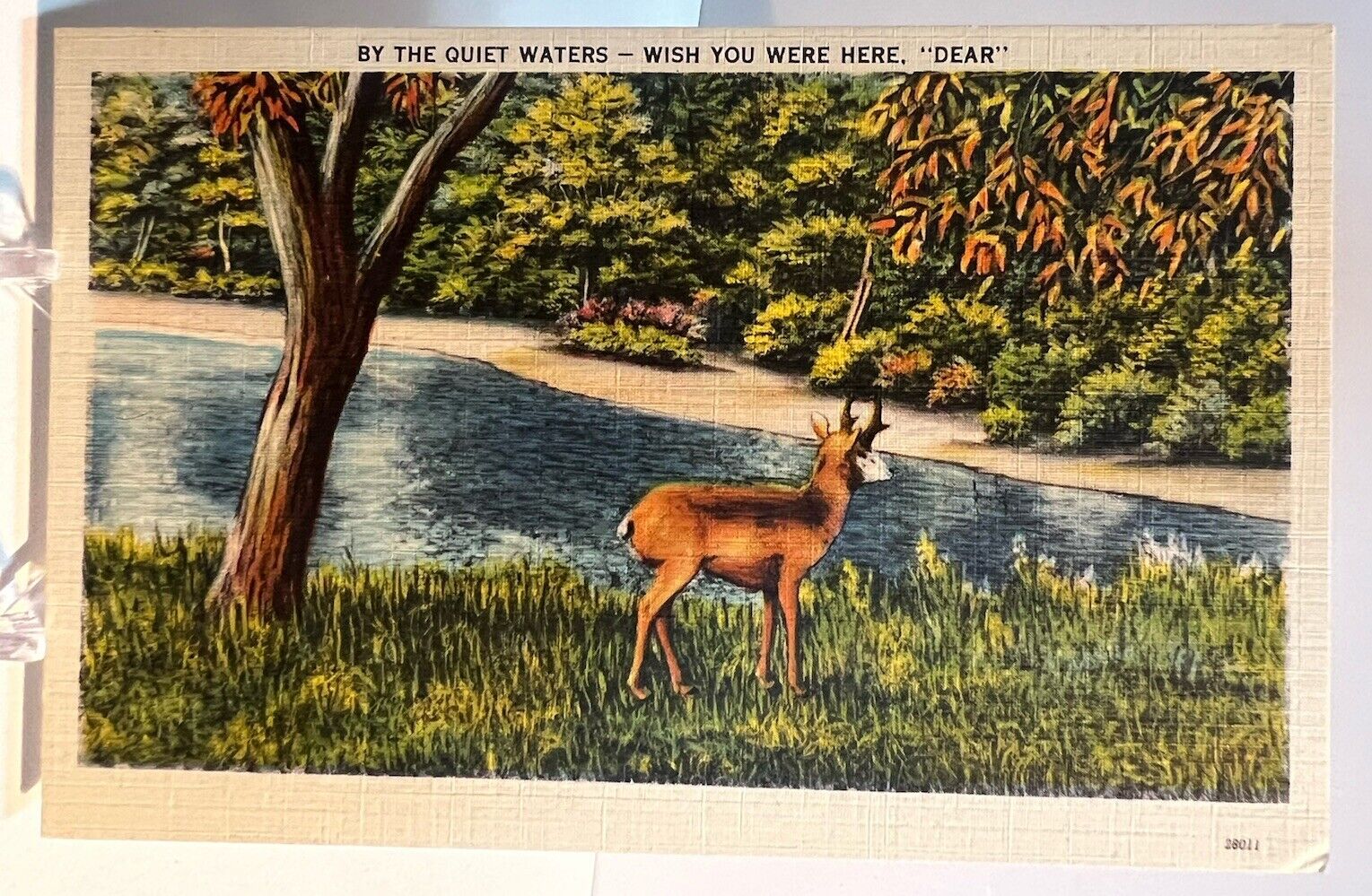 By the Quiet Waters, Wish You Were Here Dear - Vintage Postcard - Unposted