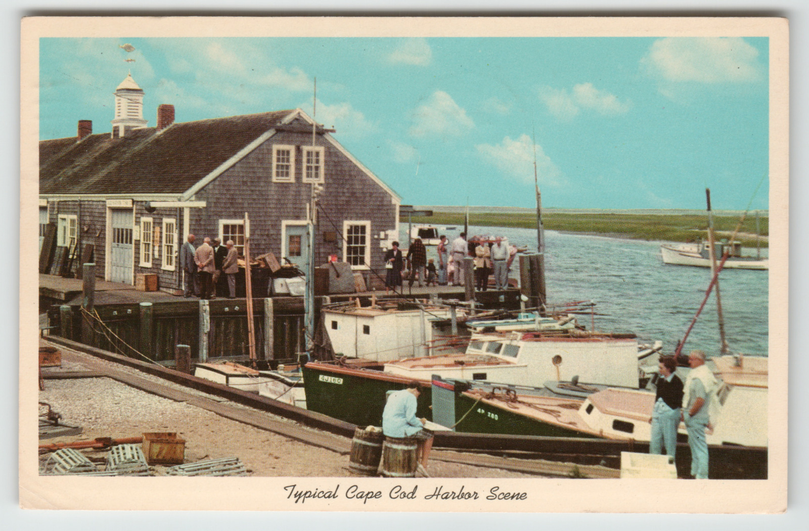 Postcard Typical Cape Cod Harbor Scene, MA