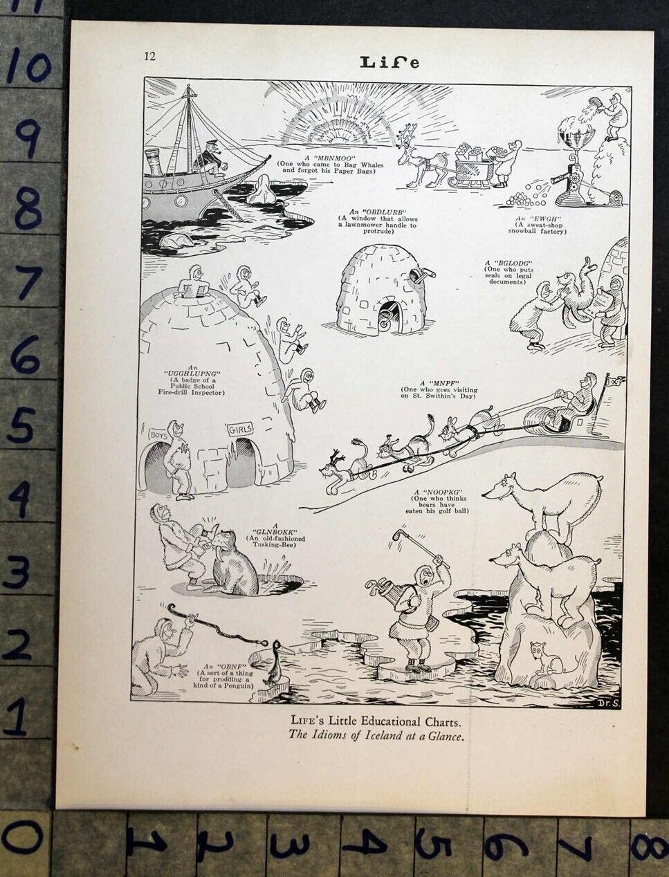 1929 DR THEODOR SEUSS GEISEL IDIOM ICELAND LANGUAGE CARTOON ART PRINT FC4144* 