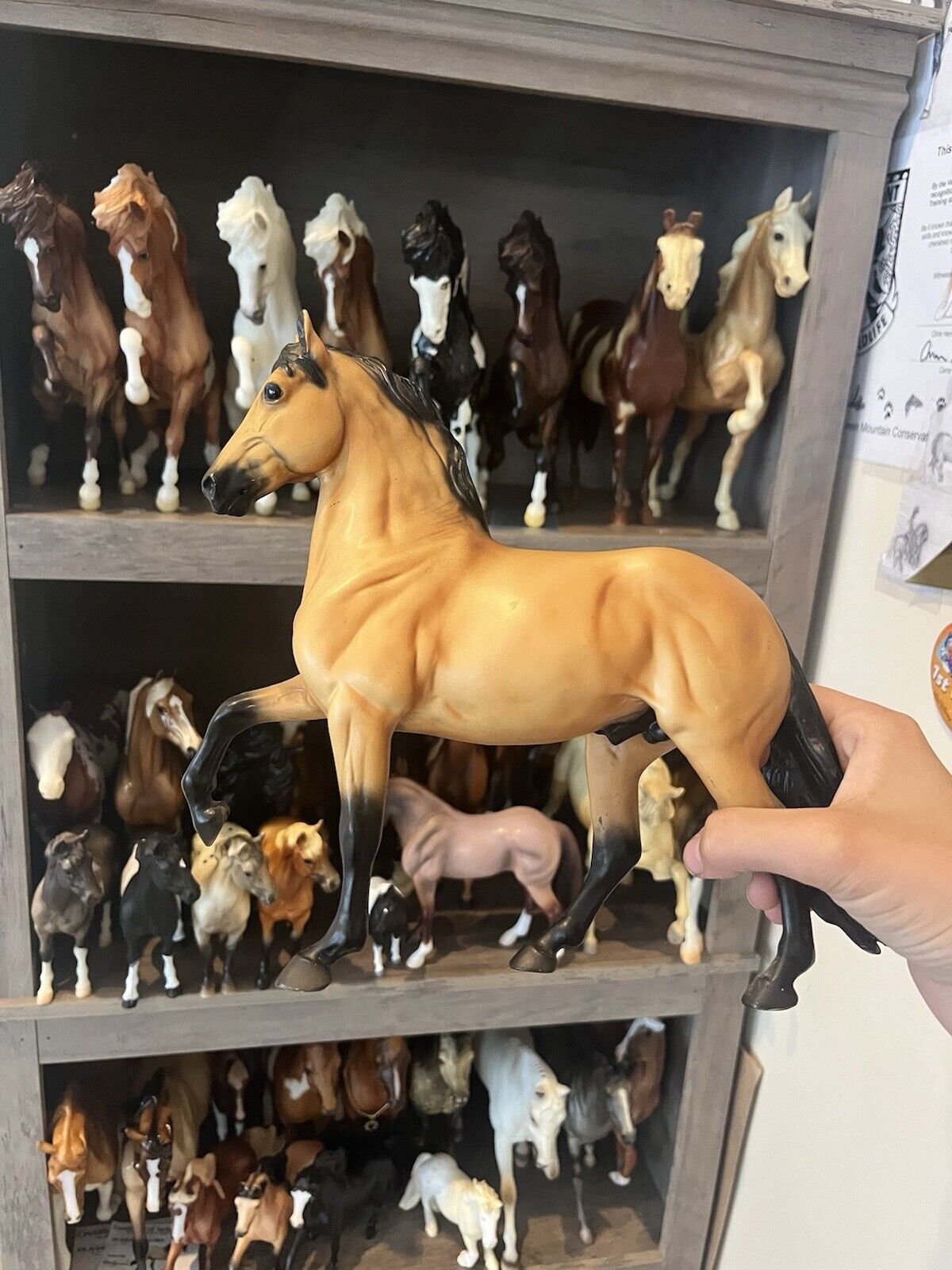 Breyer JAH Peruvian Paso Causin A Commotion Collectors Club Special #7011
