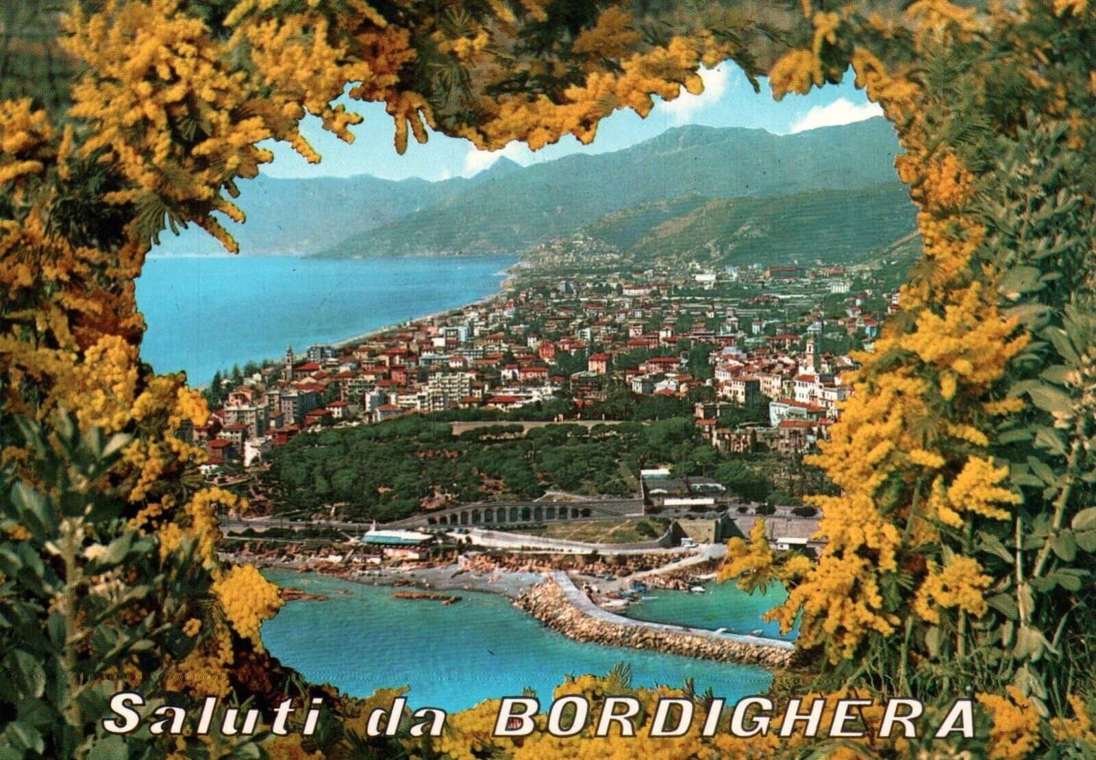 Postcard Italy Saluti da Bordighera Flower Riviera 