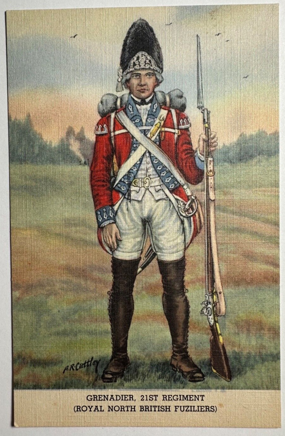 British Soldier Grenadier Royal North British Fusiliers Postcard