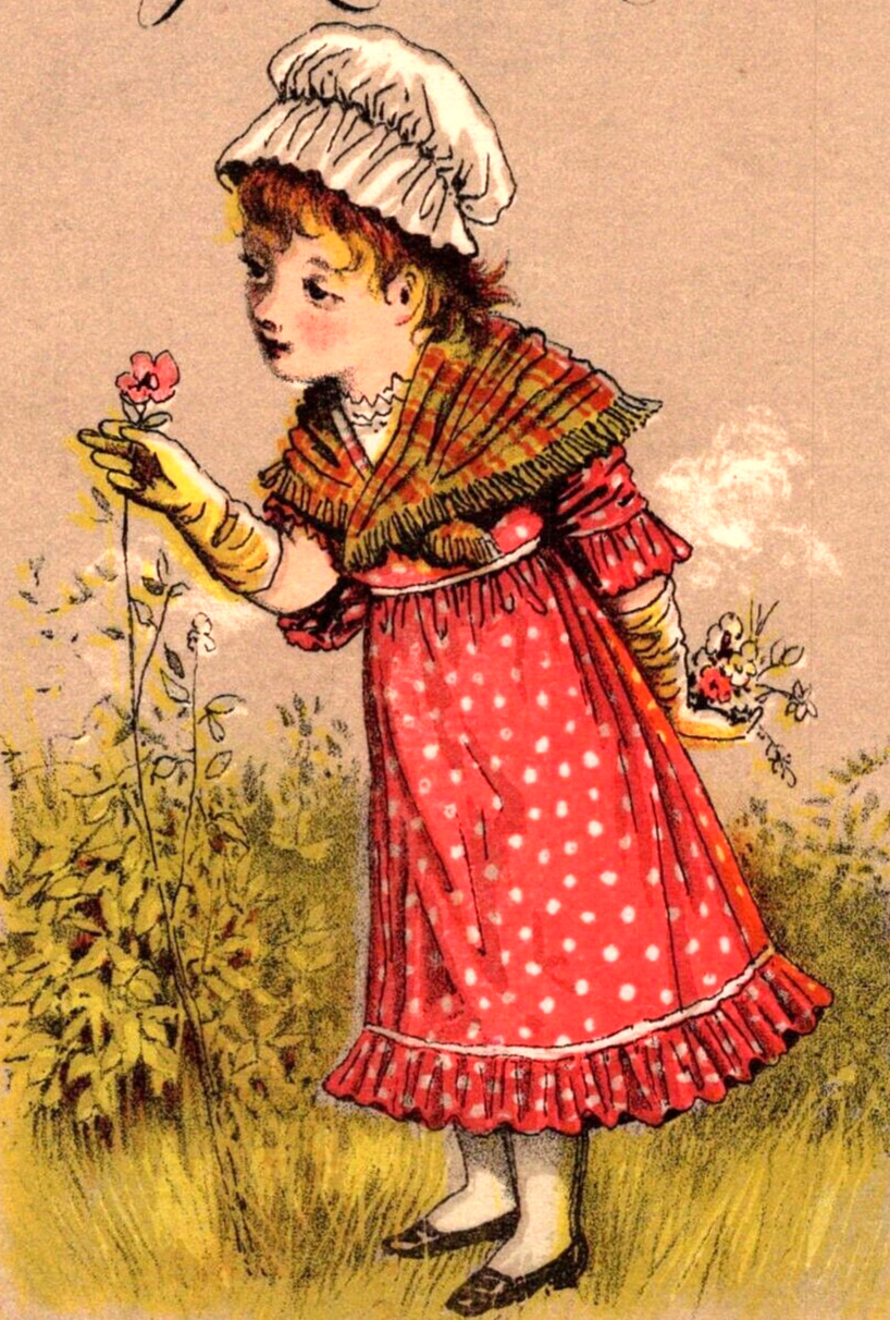 1882 BORAXINE J D Larkin & Son Lovely Girl Polka Dot Dress Victorian Trade Card