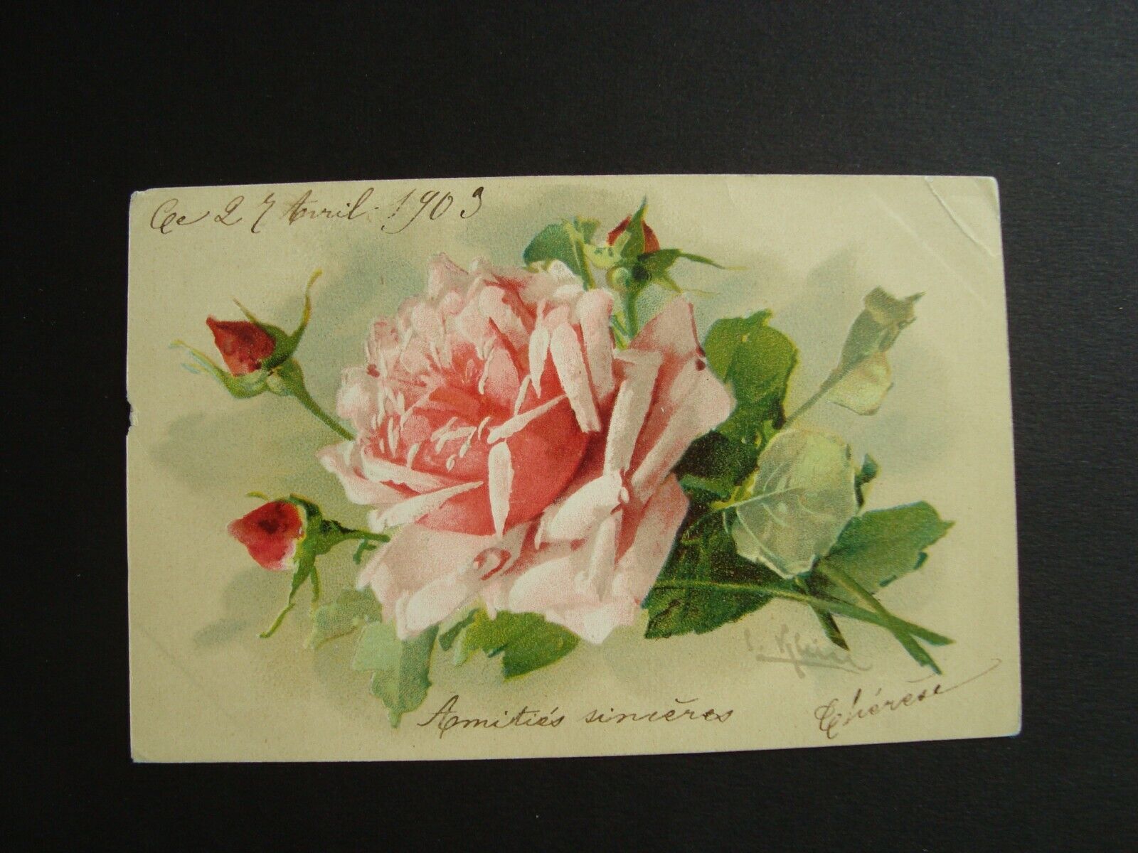 CPA - Illustrator: Catharina KLEIN - Rose - 1903 