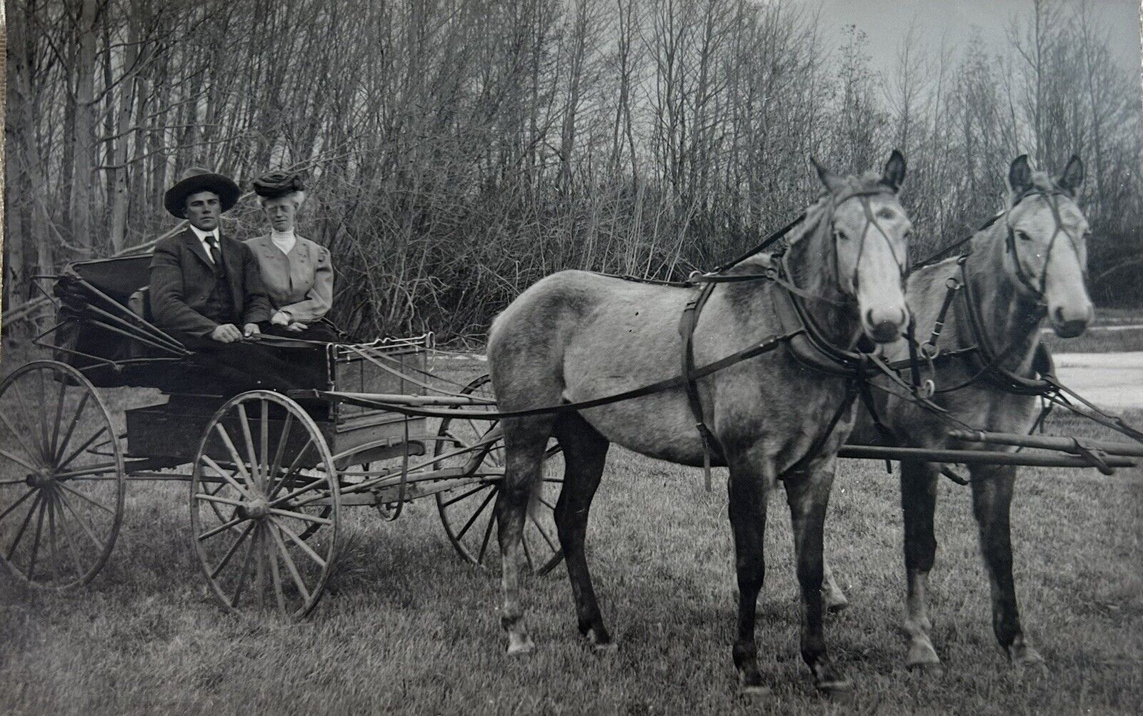 HORSE DRAWN CARRIAGE COUPLE ON SUNDAY DRIVE RPPC MINT CONDITION c. pre-1907