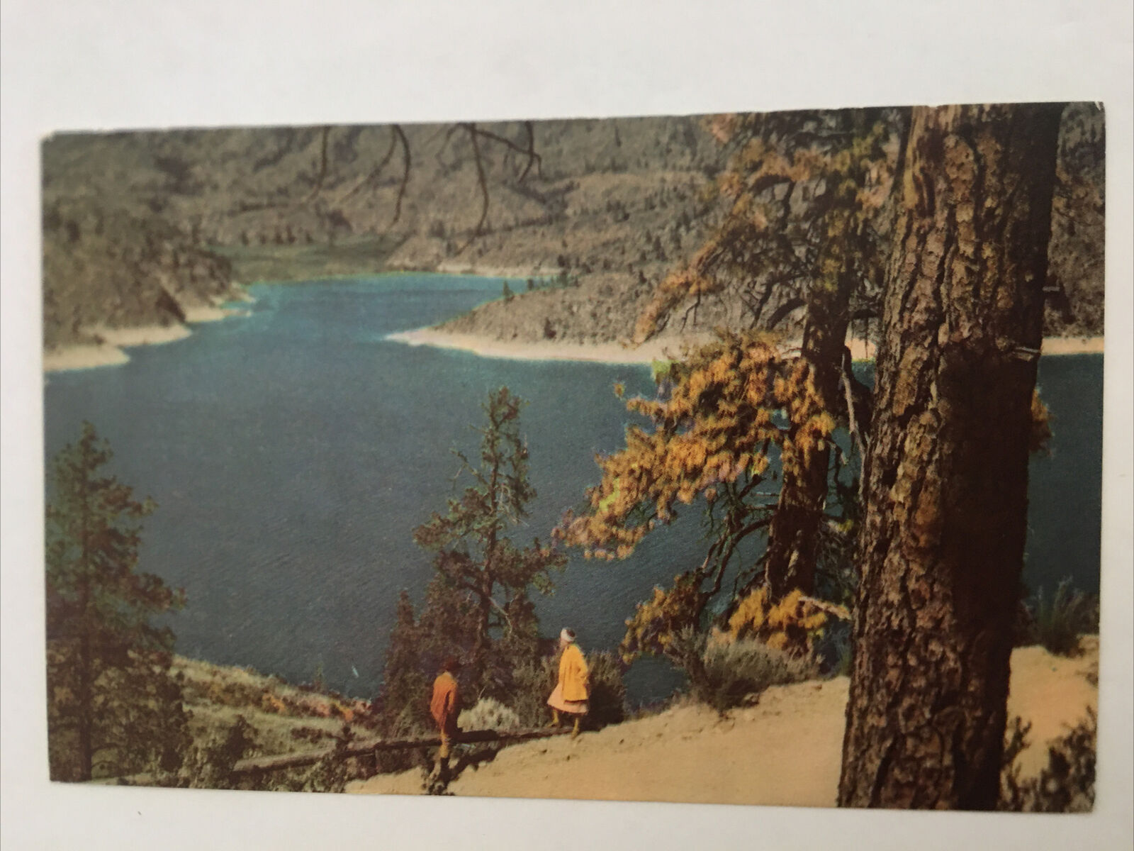 Omak Lake Washington Union Oil 76 Vintage Postcard