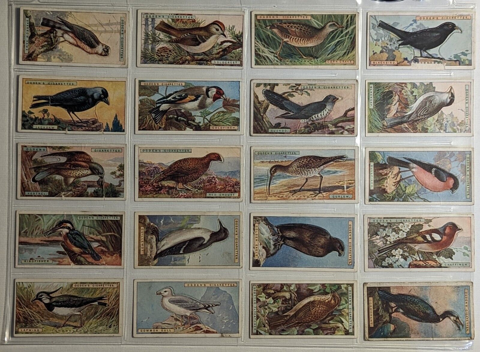 1923 Ogden's Cigarettes British Birds Cut-Outs Series Of 50 Cards Complete