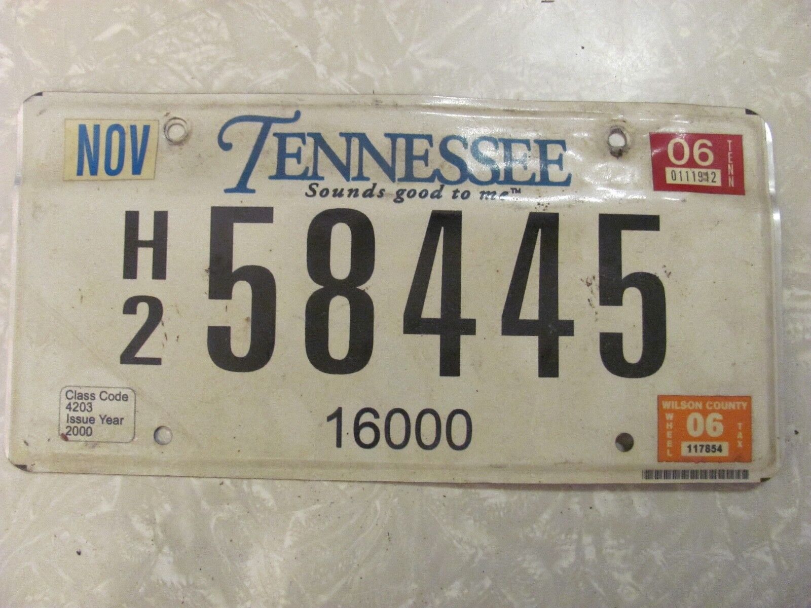 2006 TENNESSEE LICENSE PLATE   #h258445