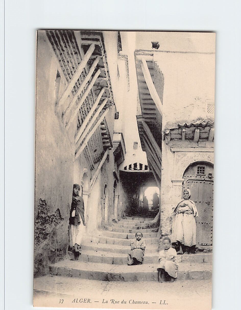 Postcard La Rue du Chameau, Algiers, Algeria