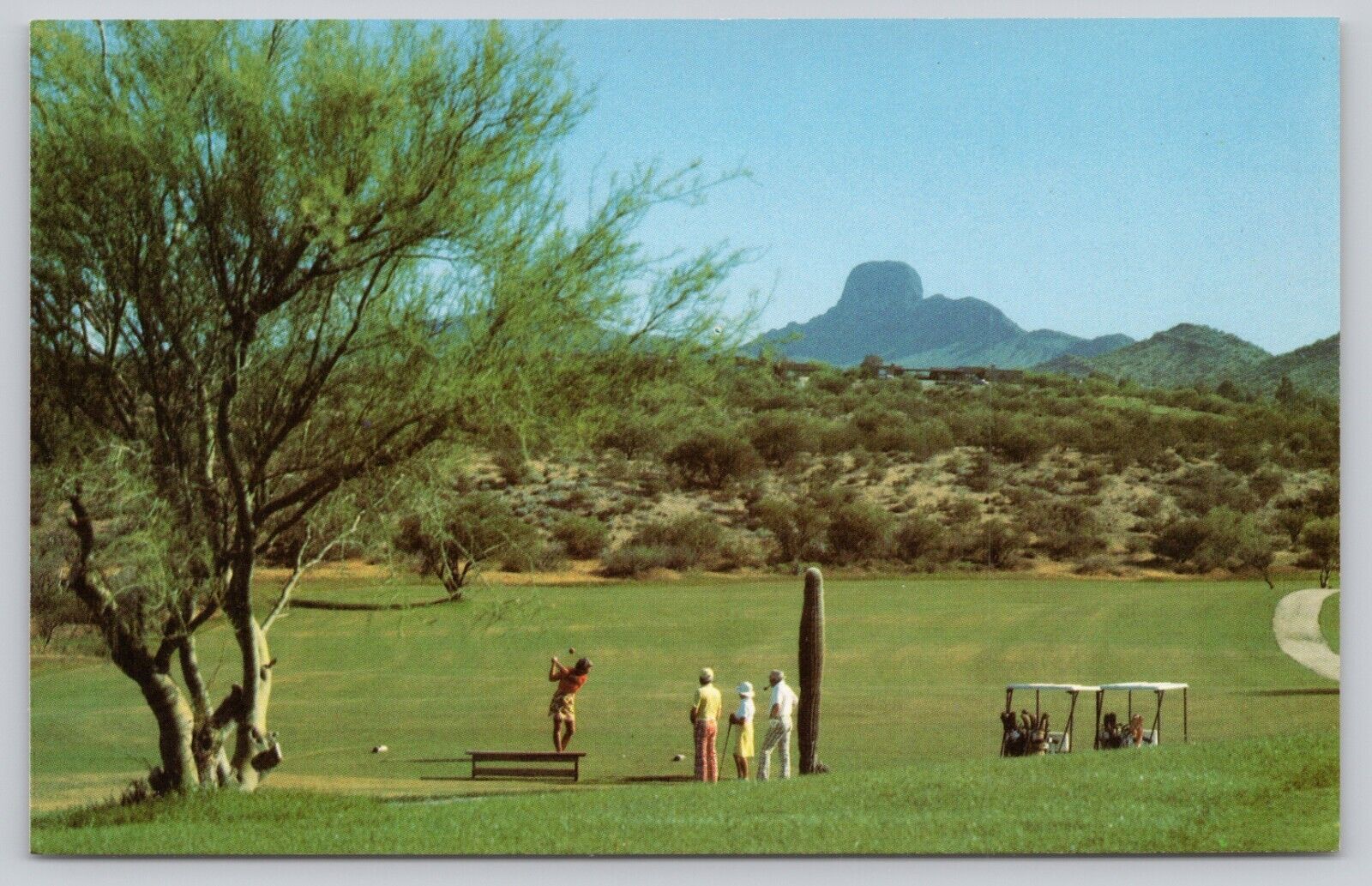 Postcard Wickenburg Arizona Rancho de los Caballeros Golf Course 1980