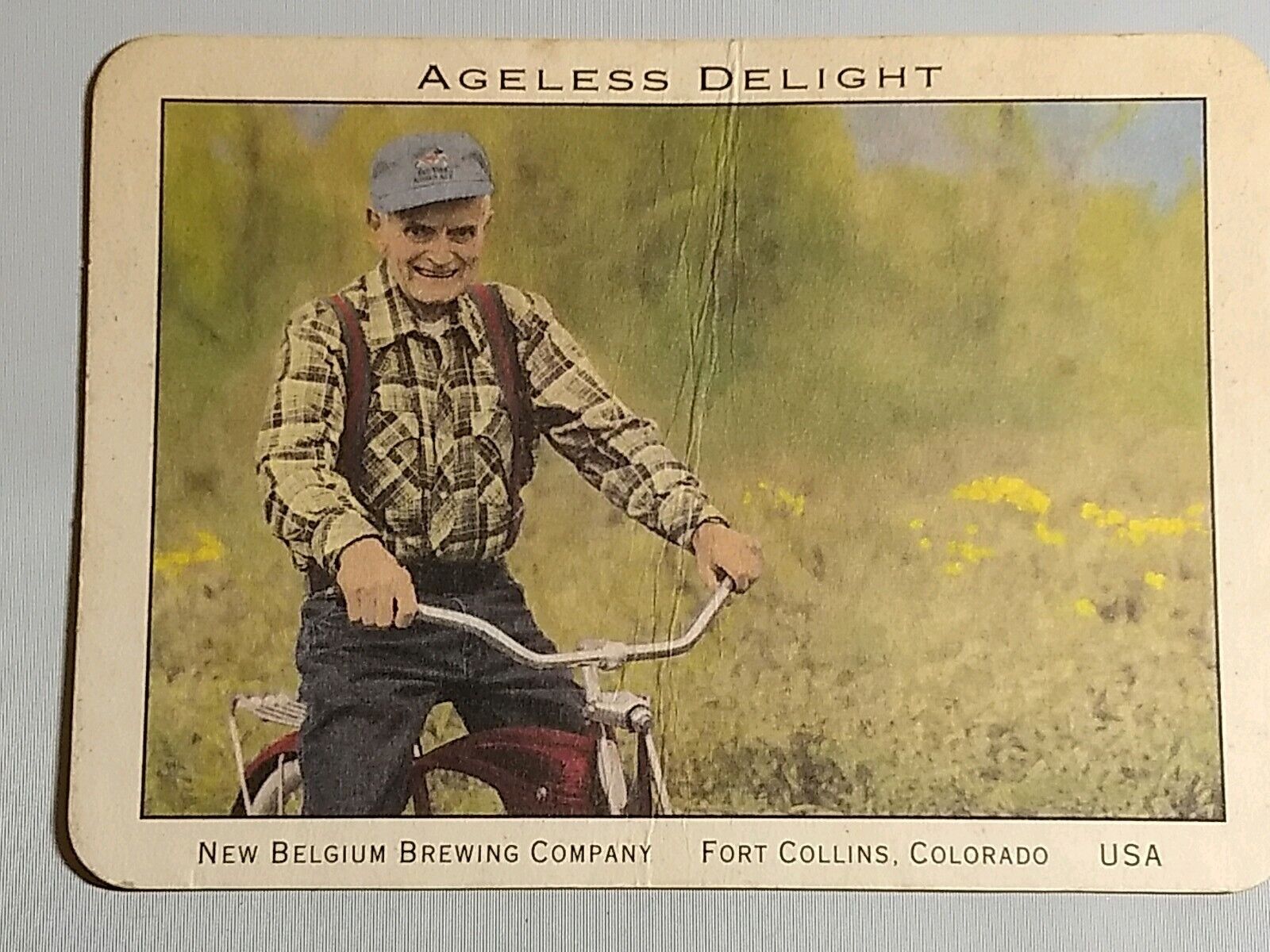 New Belgium FAT TIRE AMBER ALE Ad Postcard Older Man on Bicycle UNP Thicker Card