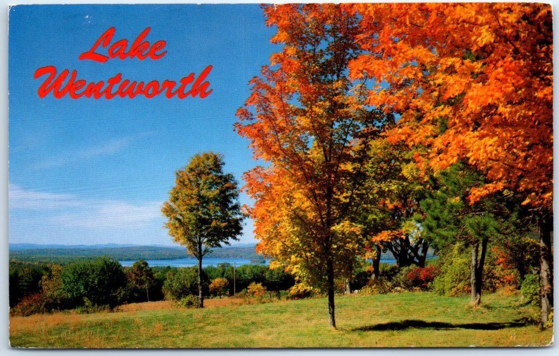 Postcard - Lake Wentworth - Wolfeboro, New Hampshire