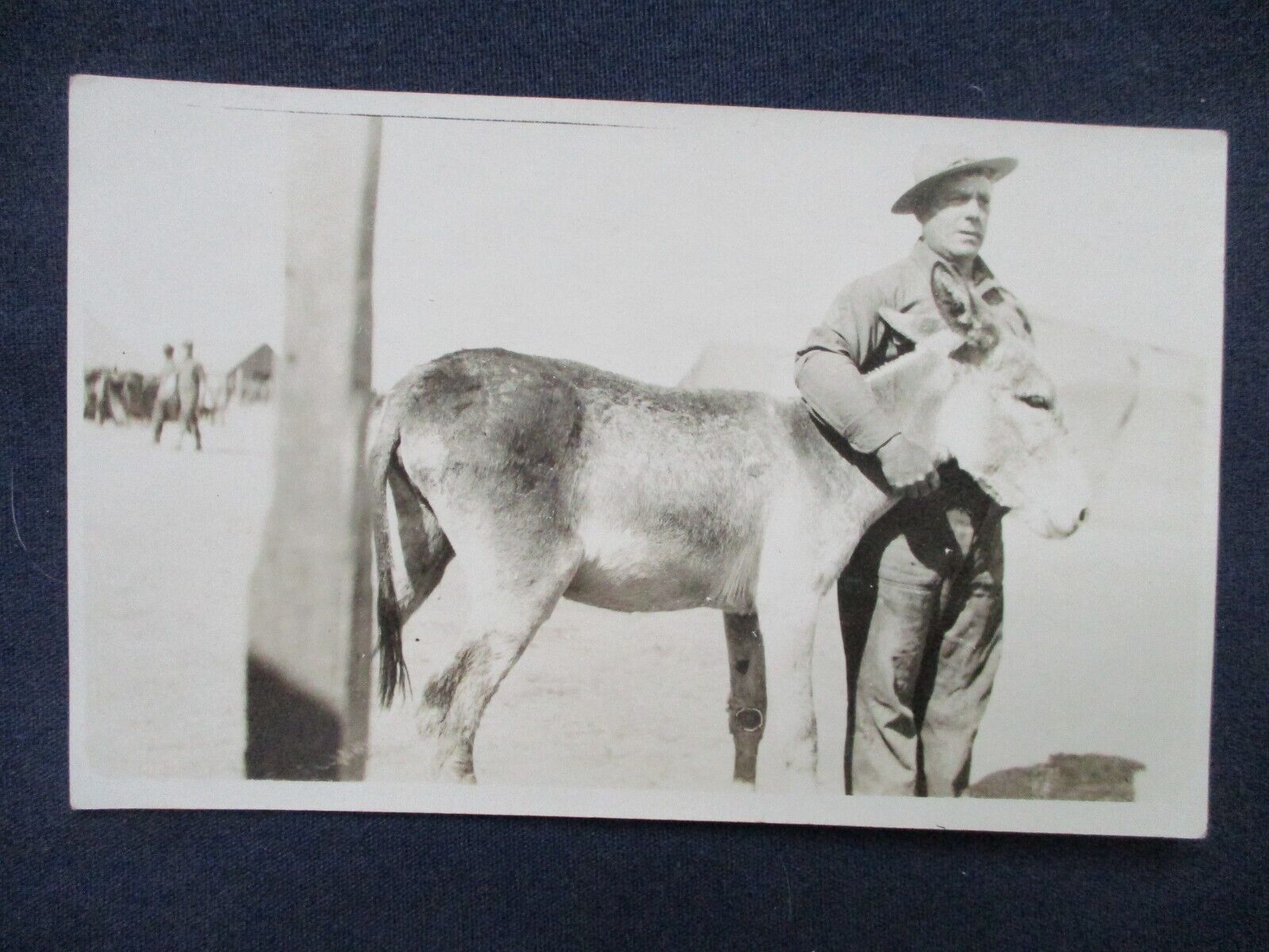 RP 1910s WWI Border War Era Soldier & Captains Burro he Rides to School Postcard