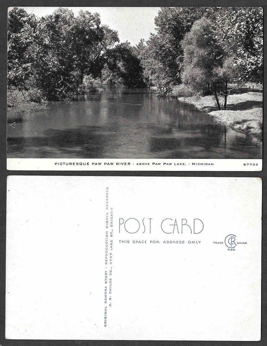 Old Michigan Postcard - Picturesque Paw Paw River