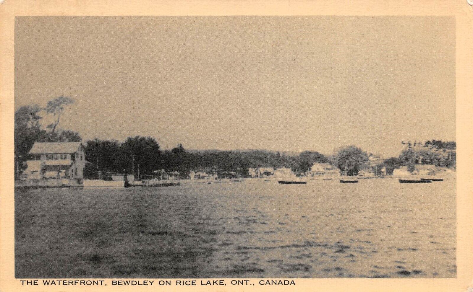 THE WATERFRONT Bewdley on Rice Lake Ontario Canada Postcard