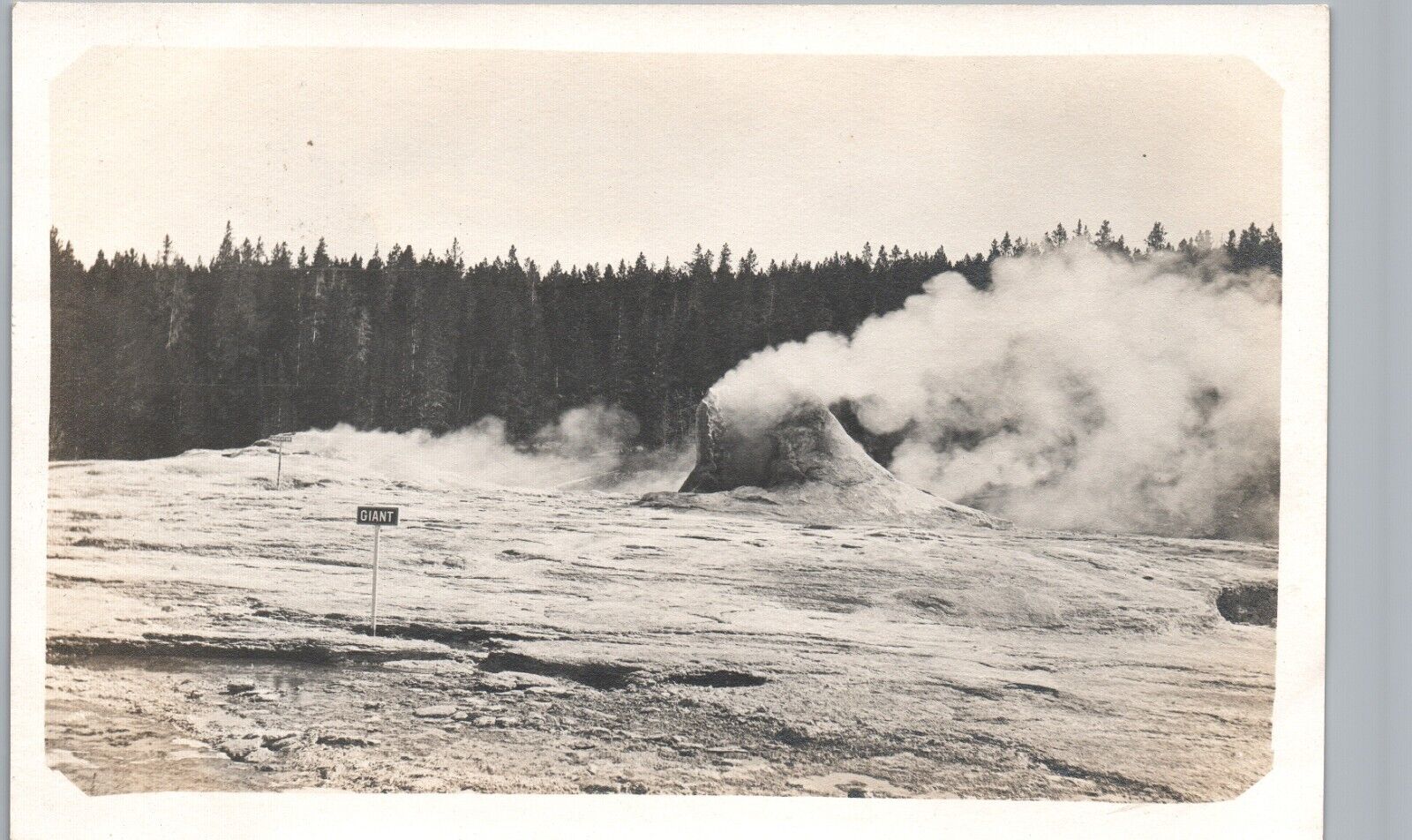 GIANT GEYSER YELLOWSTONE NATIONAL PARK real photo postcard rppc wyoming wy ~rare