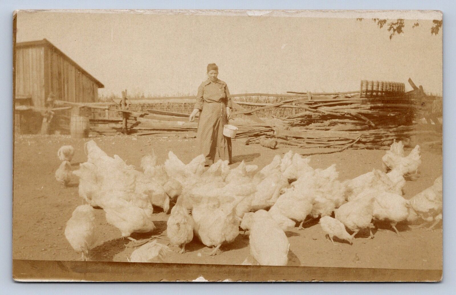 J99/ Interesting RPPC Postcard c1910 Farmer Occupational Chickens 143