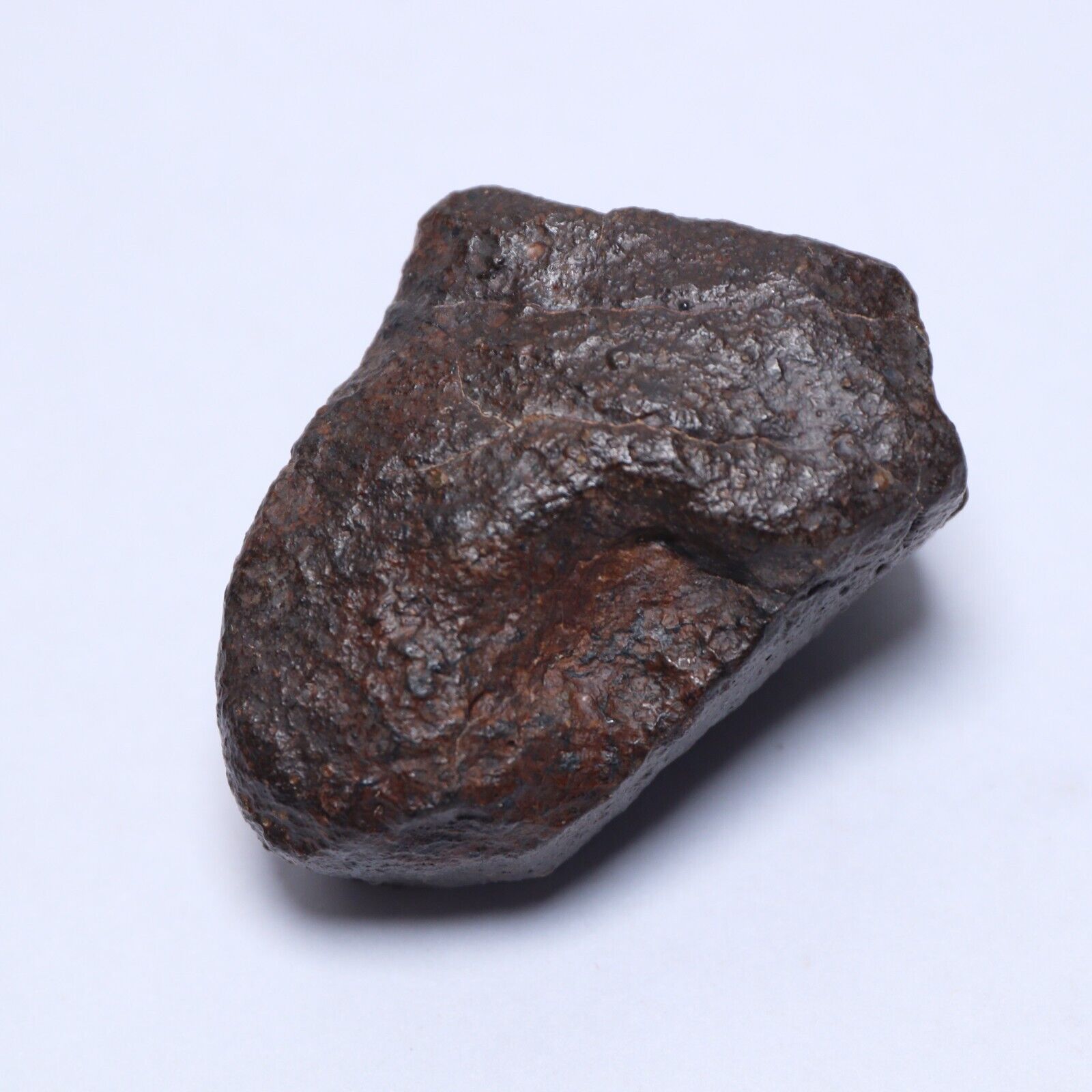 59g NWA meteorite, an unclassified chondrite N3634
