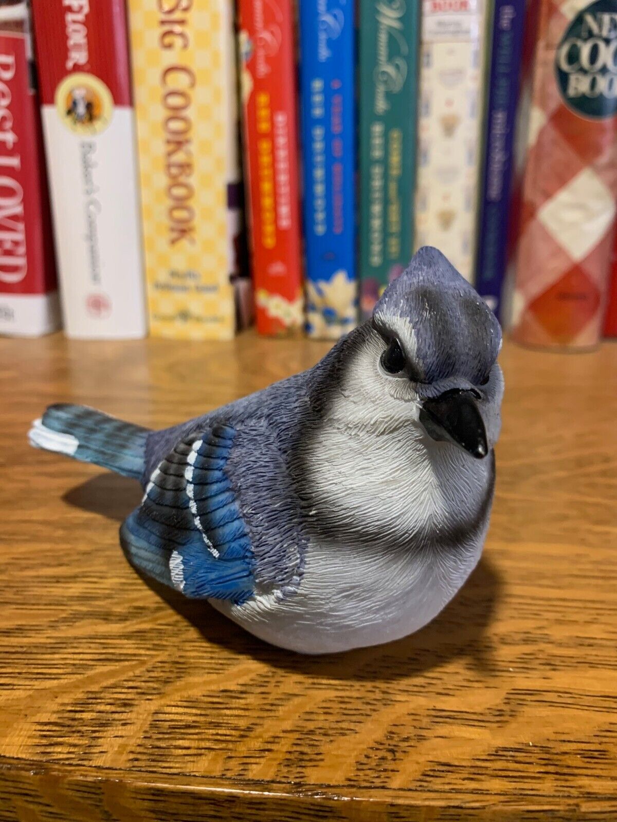 Real life-like Blue Jay size and looks