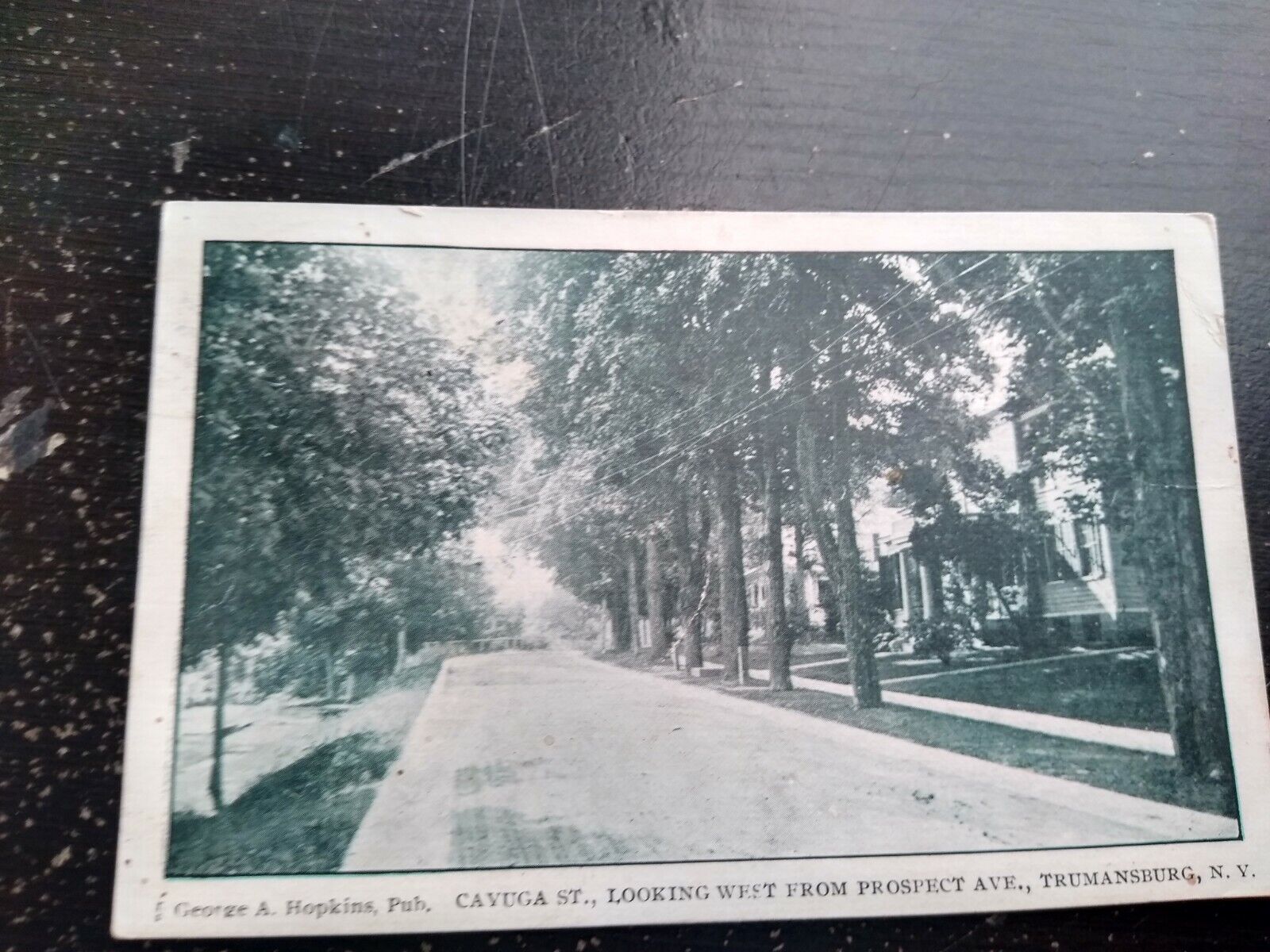 1907 Prospect avenue Trumansburg New York Cuyuga Street Scene Photo Postcard 