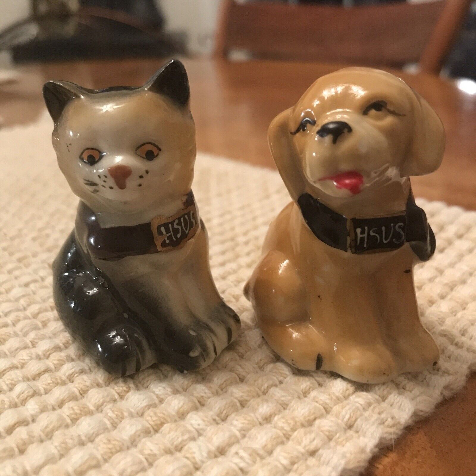 VINTAGE Humane Society (HSUS) Salt & Pepper Shakers Dog Cat Puppy Kitty Pets