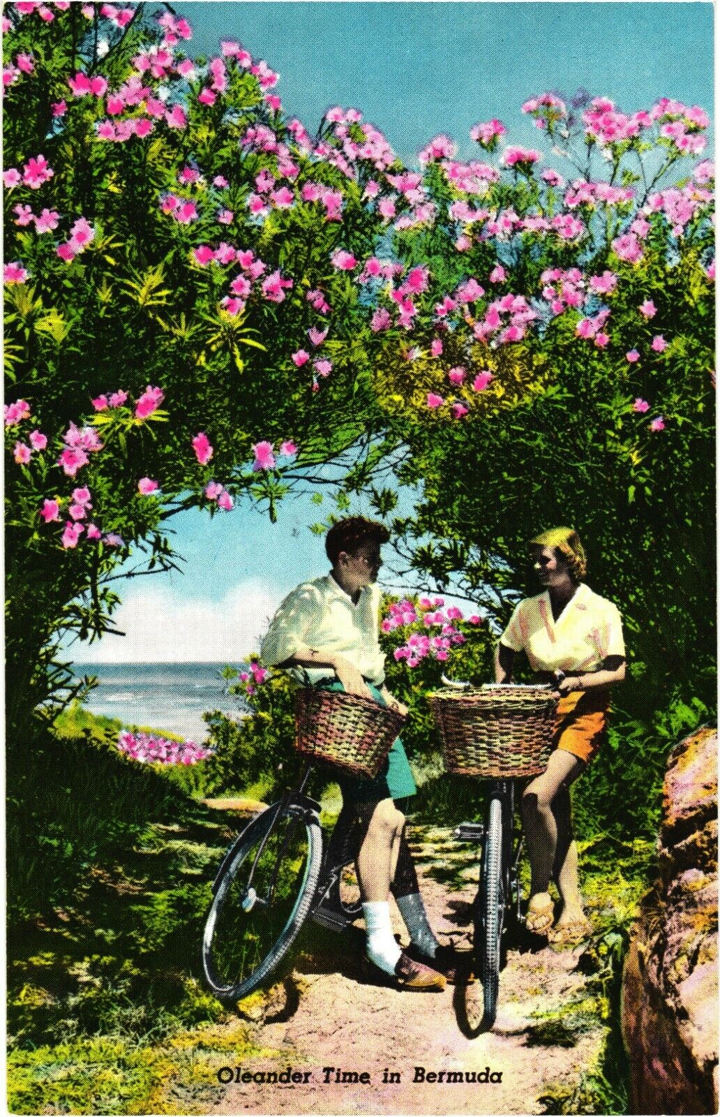 Man And Woman Biking And Enjoying The Oleander Time In Bermuda Postcard