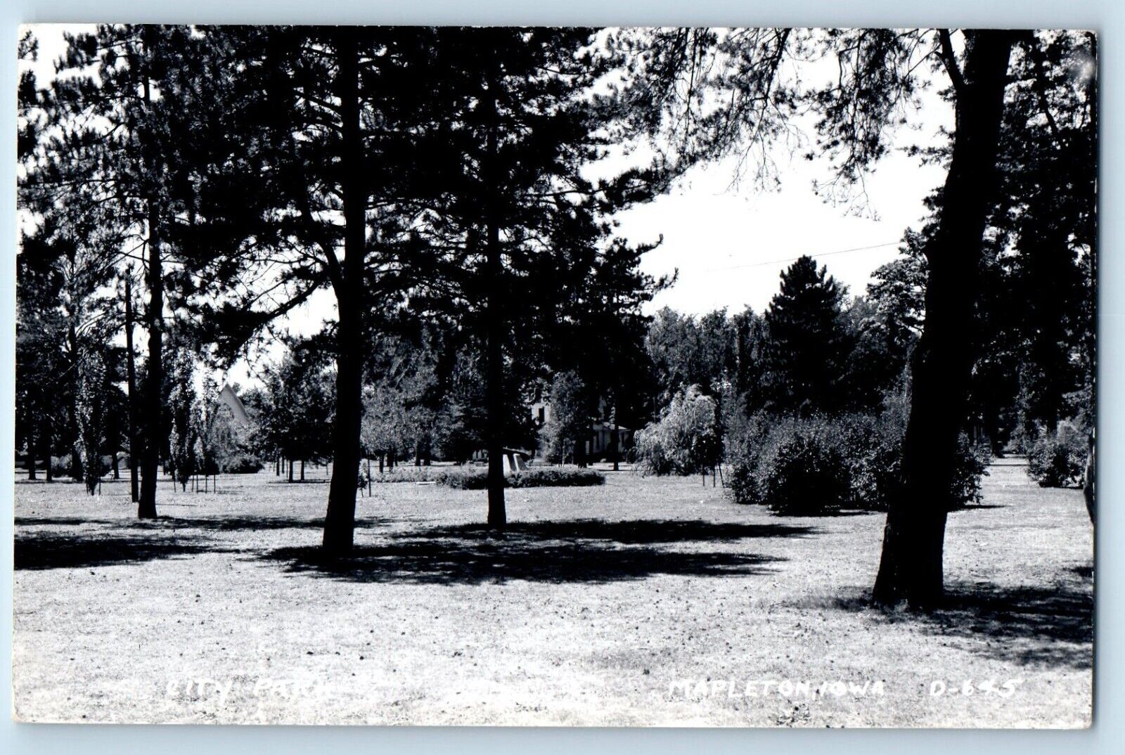 Mapleton Iowa IA Postcard RPPC Photo View Of City Park c1950\'s Unposted Vintage