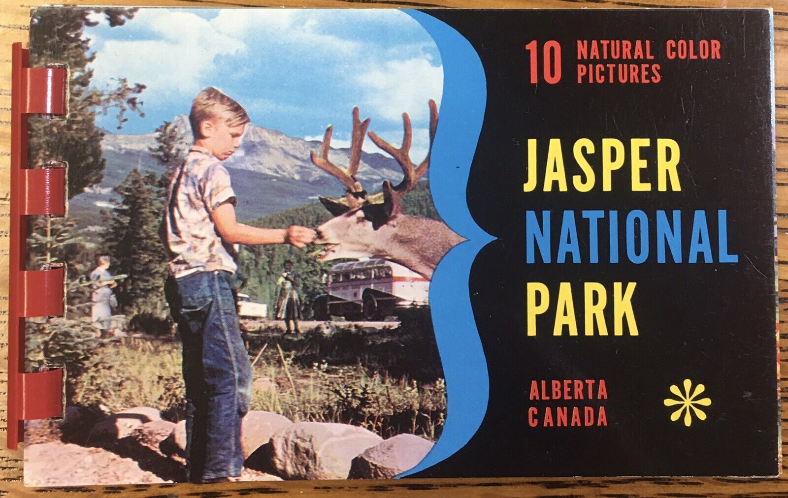 Jasper National Park Alberta, Canada Souvenir Color Picture Book, 4.25” x 2.75”