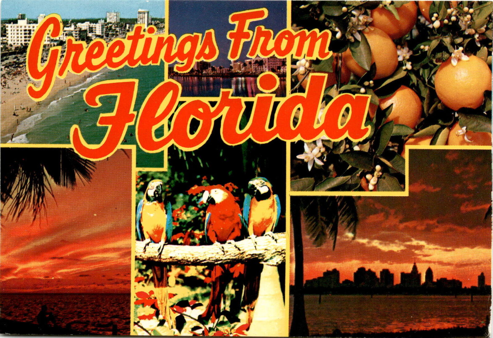Florida, sunshine, beauty, fun, southeastern region, warm climate, Postcard