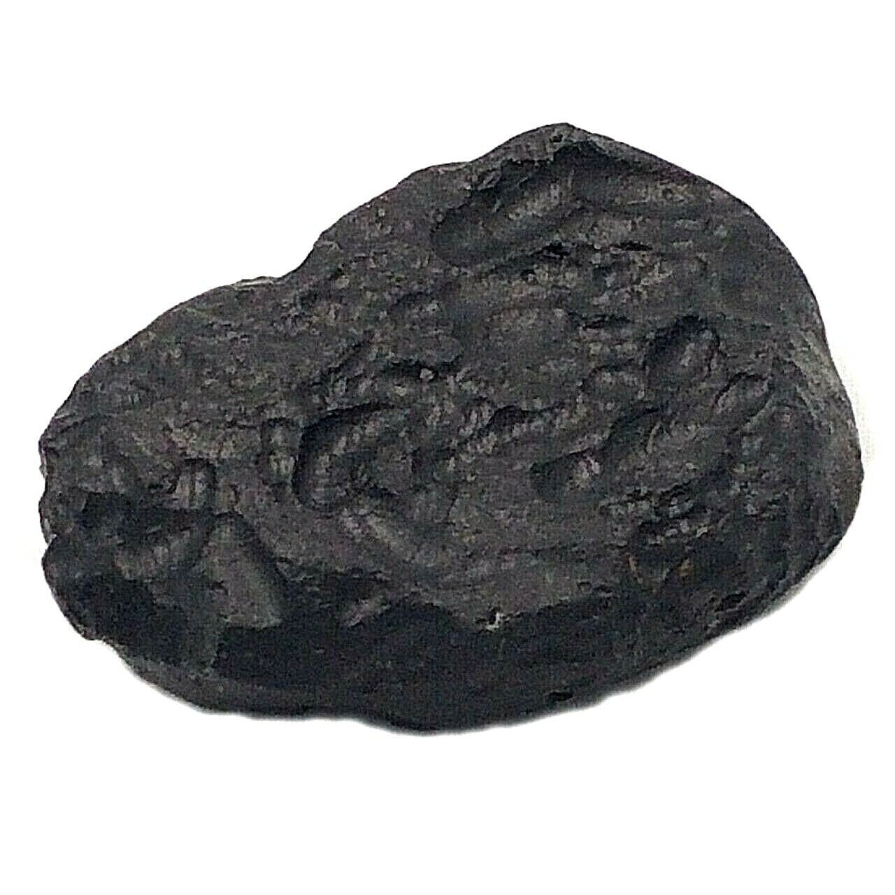 Black tektite meteorite space rock perfect Rods stone charm original rough 
