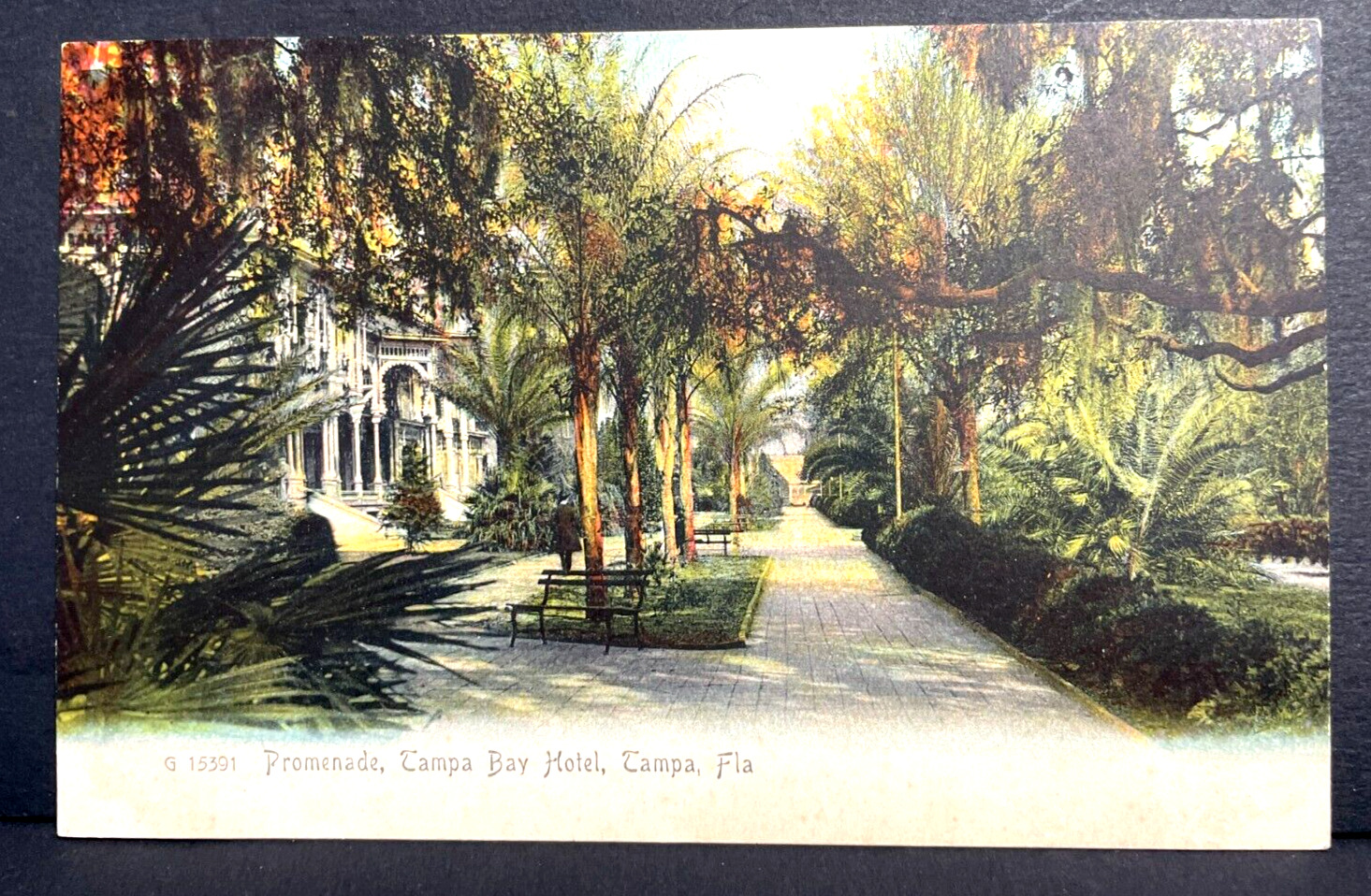 Tampa Florida Postcard Promenade Tampa Bay Hotel UDB Unposted