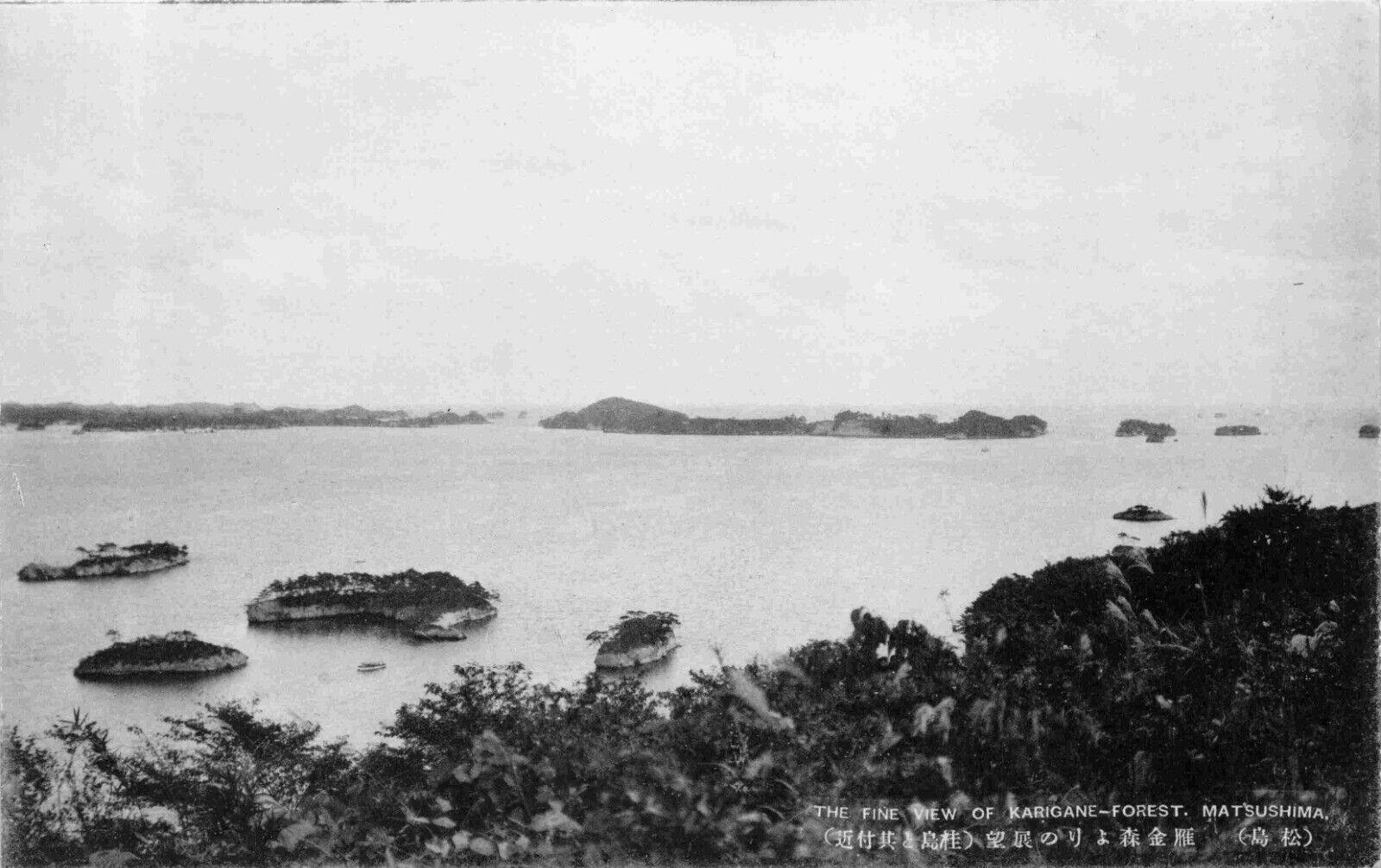 RPPC  - Karigane Forest Matshushima Japanese Vtg Postcard #11