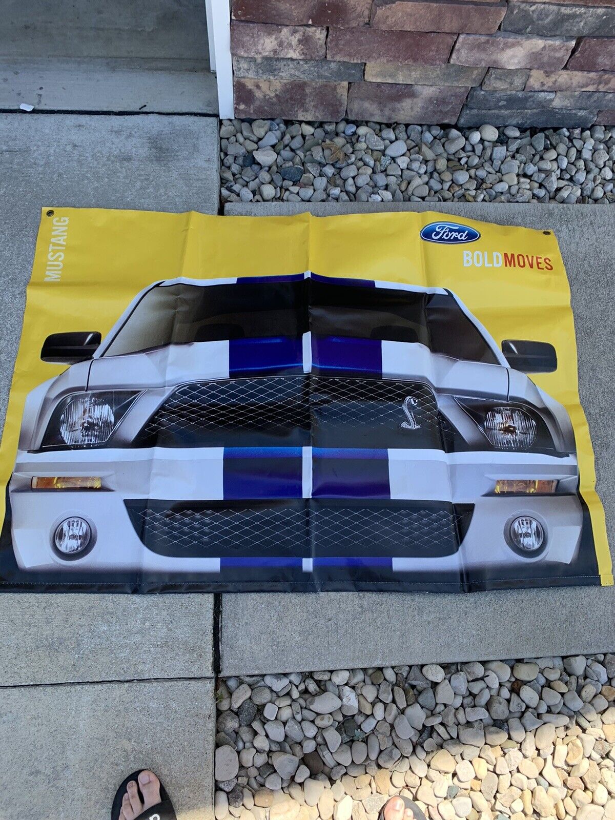 Ford bold Moves Shelby Banner