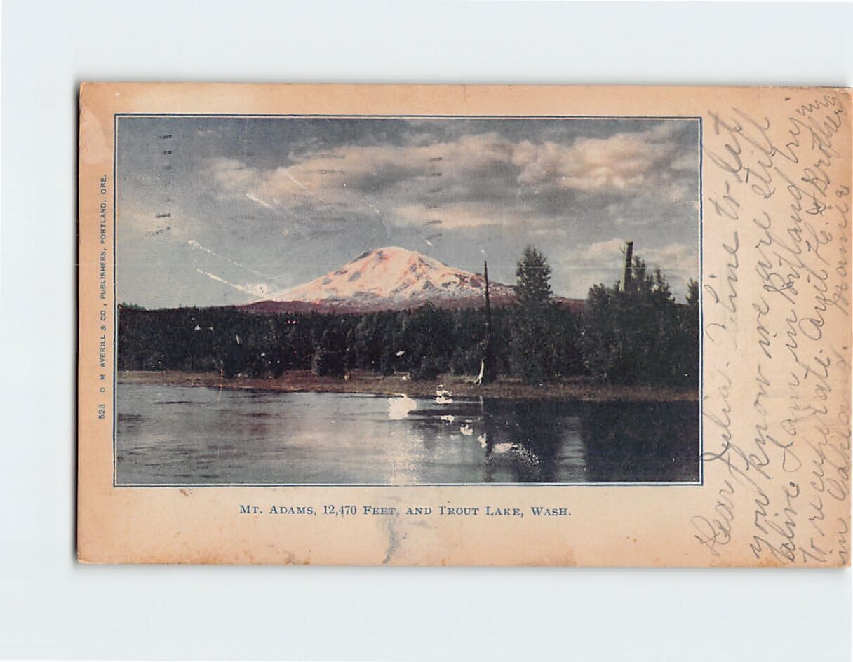 Postcard Mt. Adams and Trout Lake Washington USA