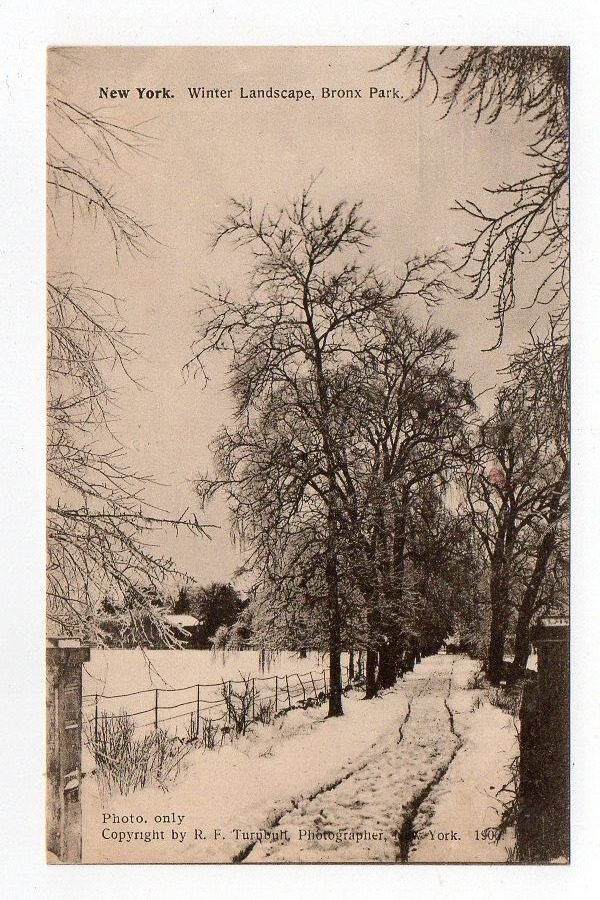 DB Postcard, Winter Landscape, Bronx Park, New York