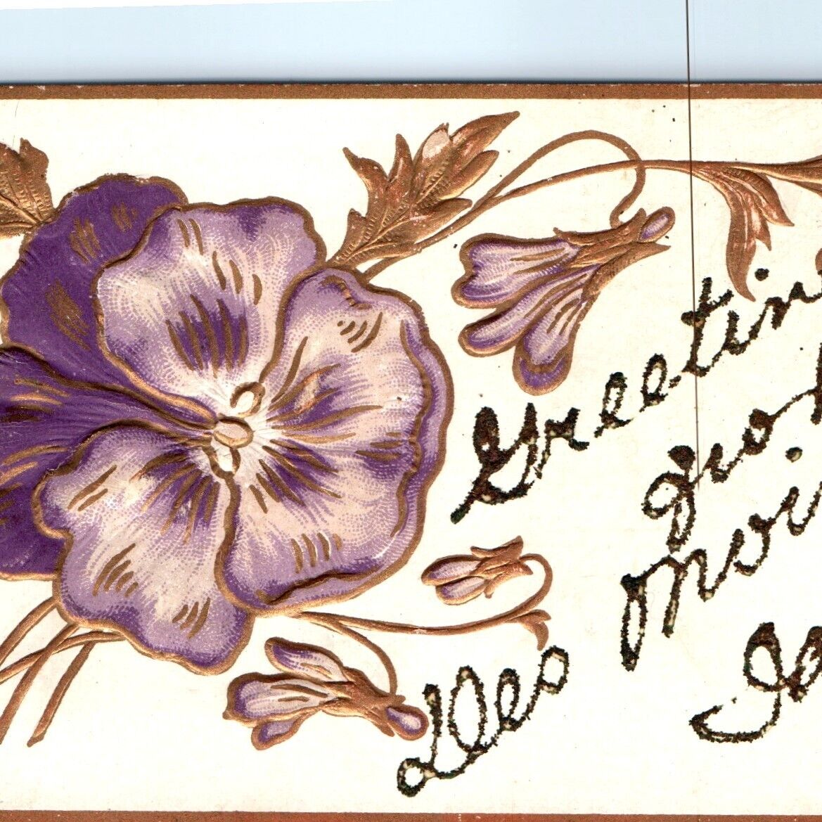 c1910s Des Moines IA Greetings Embossed Crushed Mica Glitter Powder Postcard A65