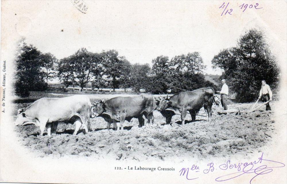 CPA 23 LE LABOURAGE CREUSOIS (back not divided) THEME AGRICULTURE