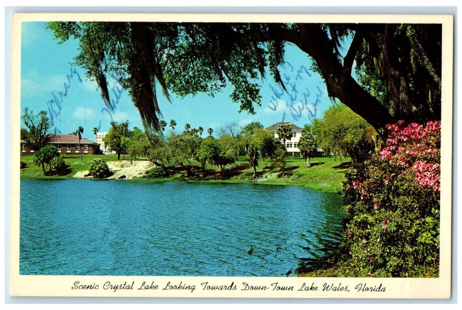 1963 Scenic Crystal Lake Looking Towards Down Town Lake Wales FL Posted Postcard