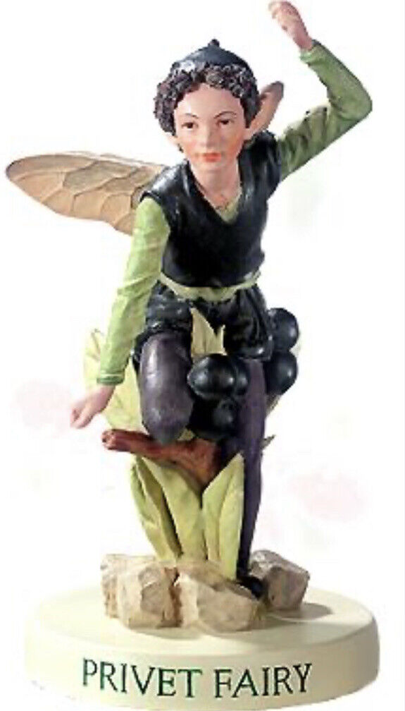 Cicely Mary Barker -Flower-Fairies, Series XIV Privet Fairy 88983