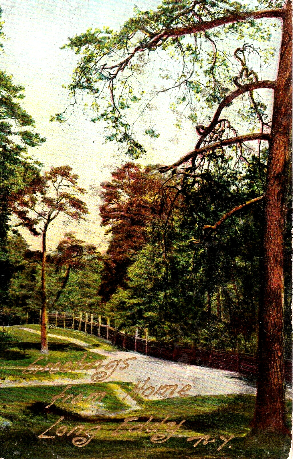 Postcard 1909 Long Eddy New York, Gold-toned Ink says 'Greetings' Park, Woods