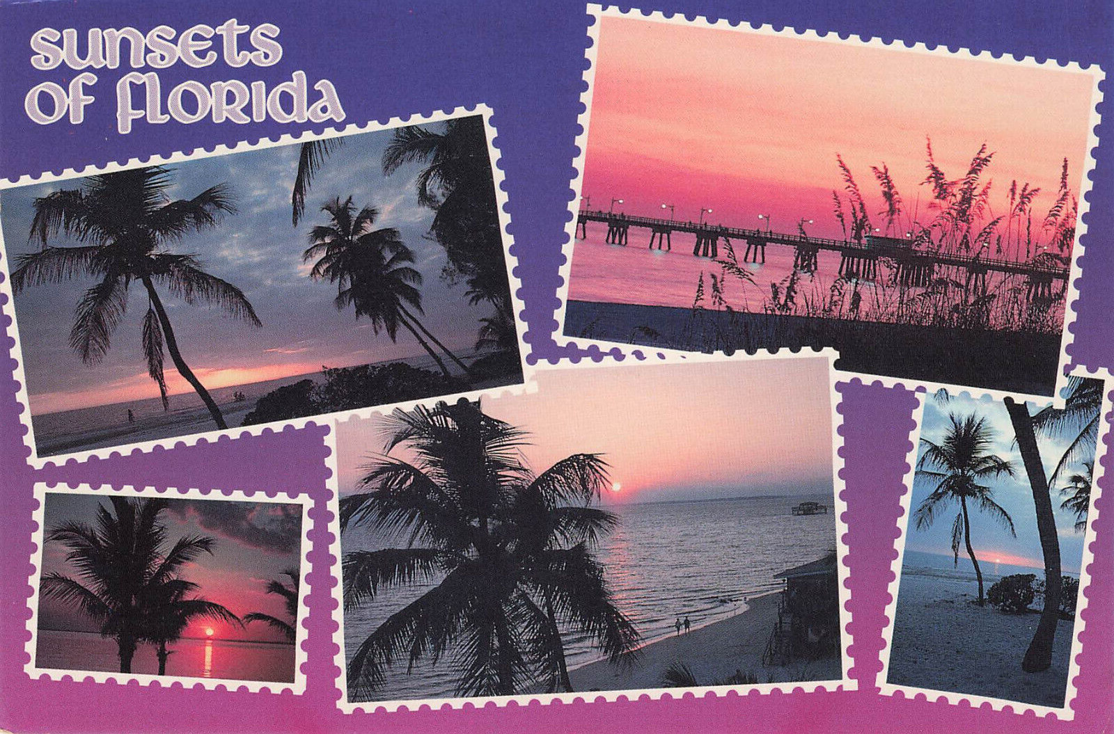SUNSETS WITH PALM TREES & PIER POSTCARD KEY WEST TAMPA NAPLES PENSACOLA FLORIDA