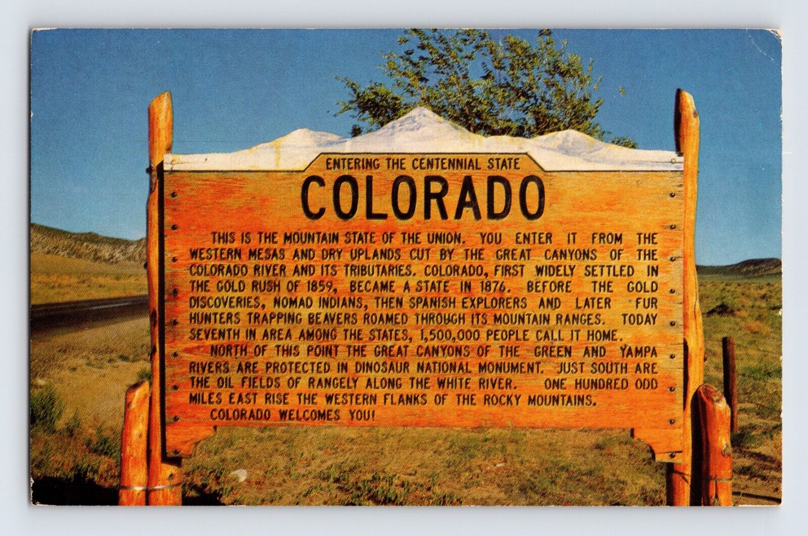 Postcard Colorado State Line Sign Centennial State 1960s Unposted Chrome