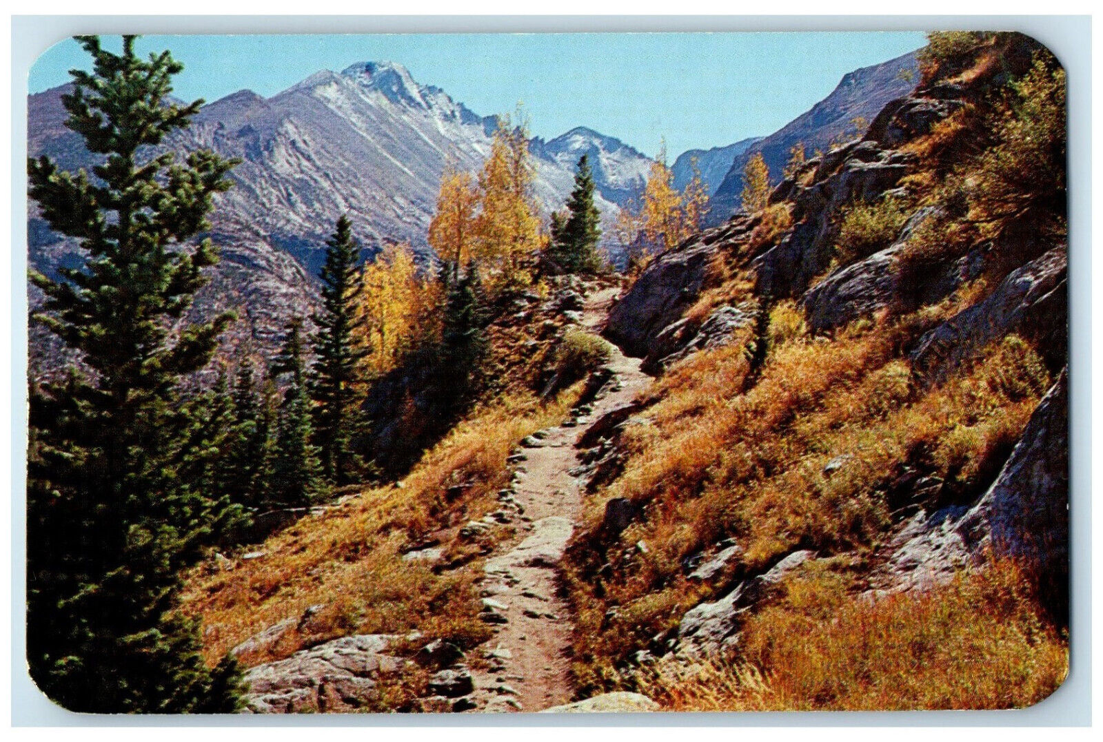 c1950's Vista of Long's Peak Dream Lake Trail Rocky National Park CO Postcard