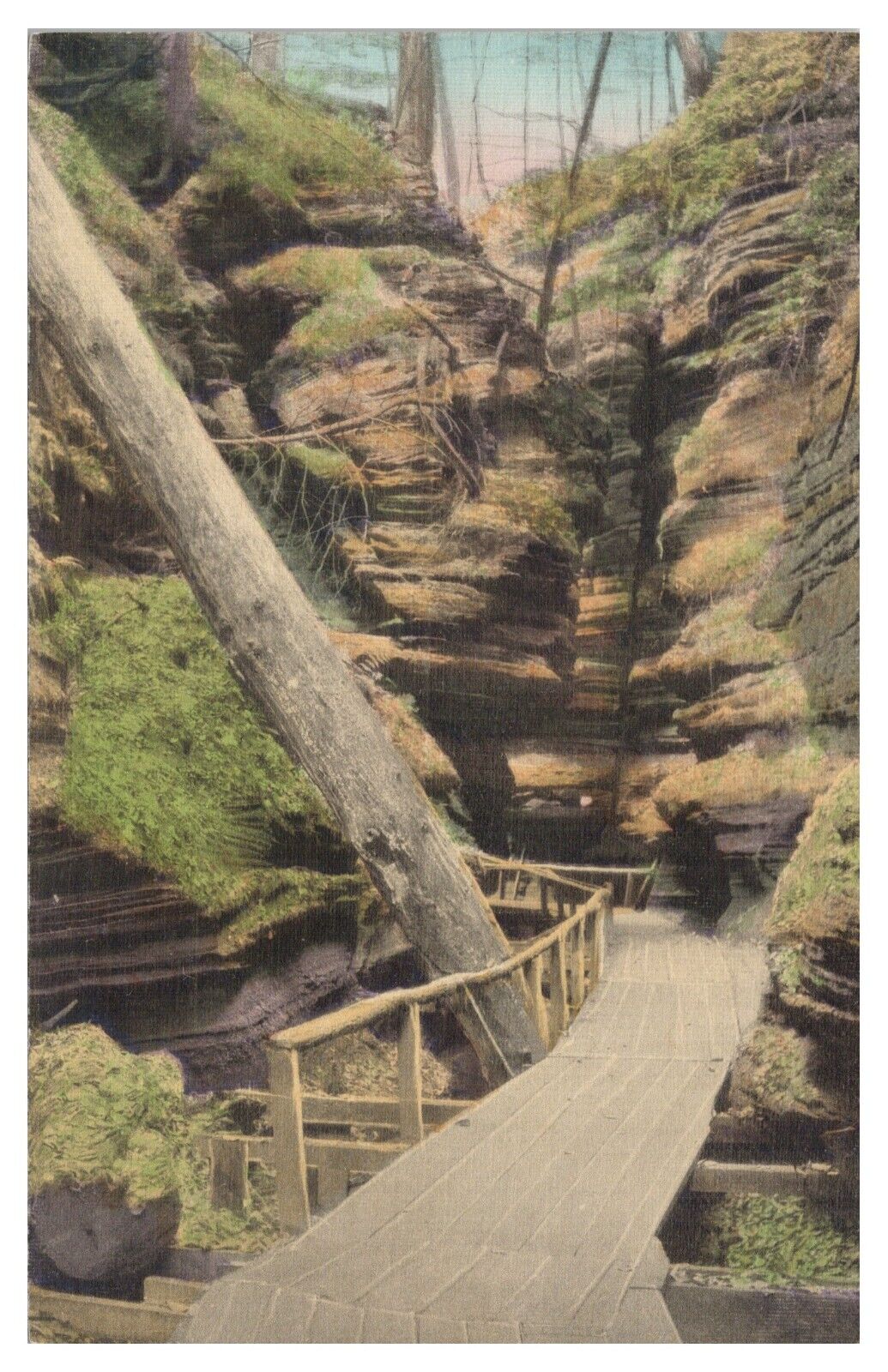 Path in Witches Gulch Dells of the Wisconsin River Hand Colored Postcard Unused