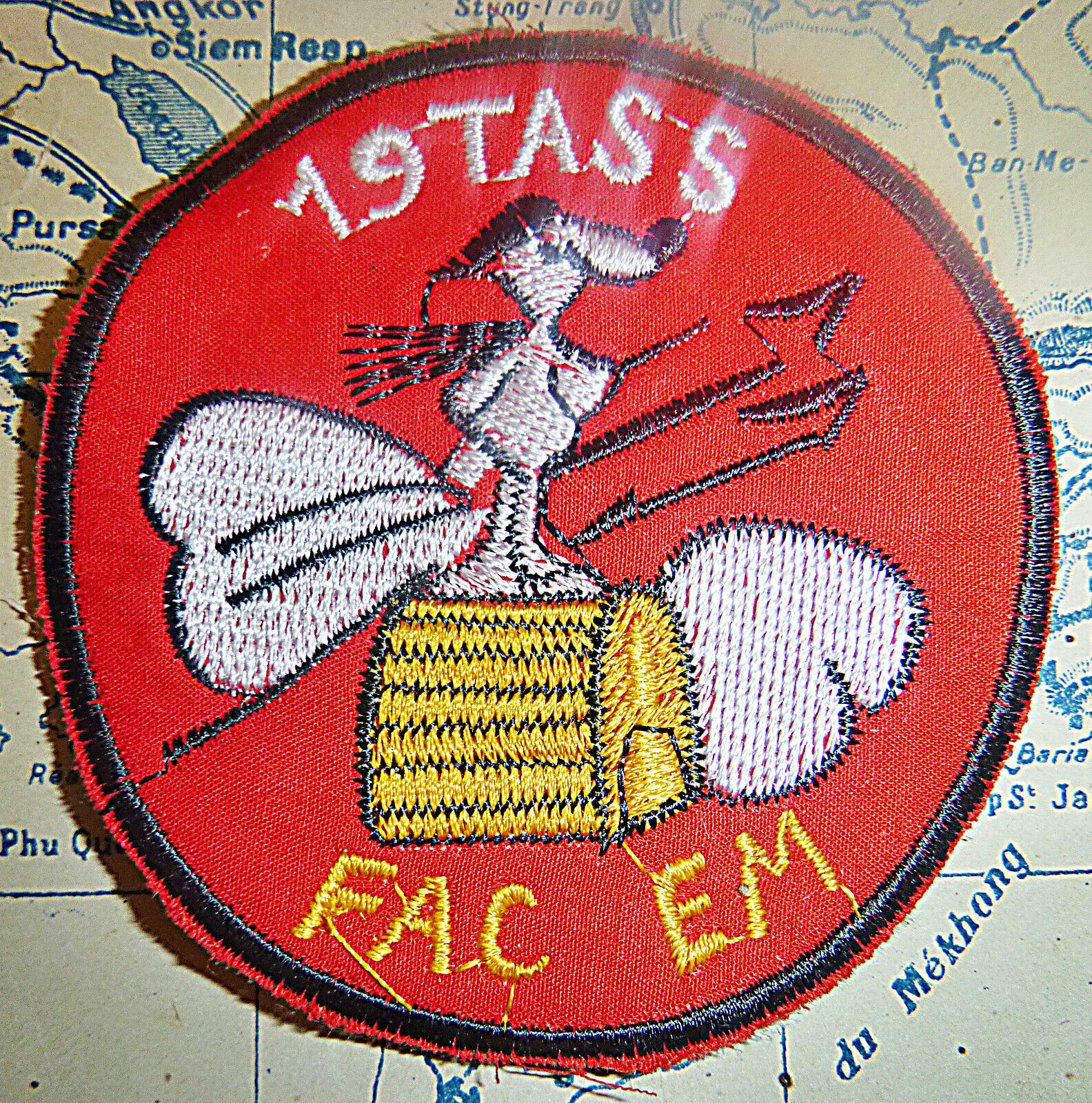 FAC EM - SNOOPY PATCH - CESSNA 0-1 - USAF 19th TASS - Vietnam War - M.753
