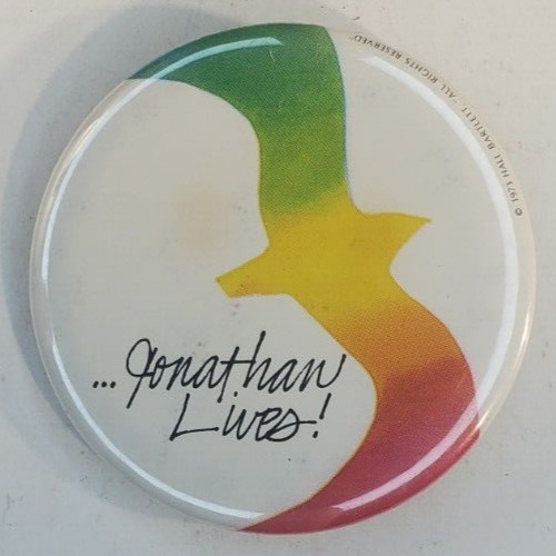 Vintage 1973 Hallmark Jonathan Livingston Seagull Pinback Button Johnathan Lives