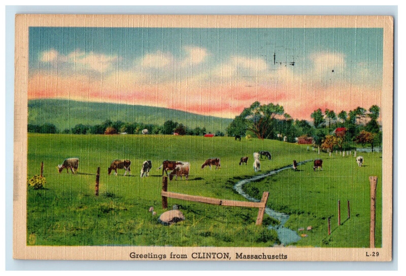 1951 Greetings From Clinton Massachusetts MA, Farm Cows View Vintage Postcard