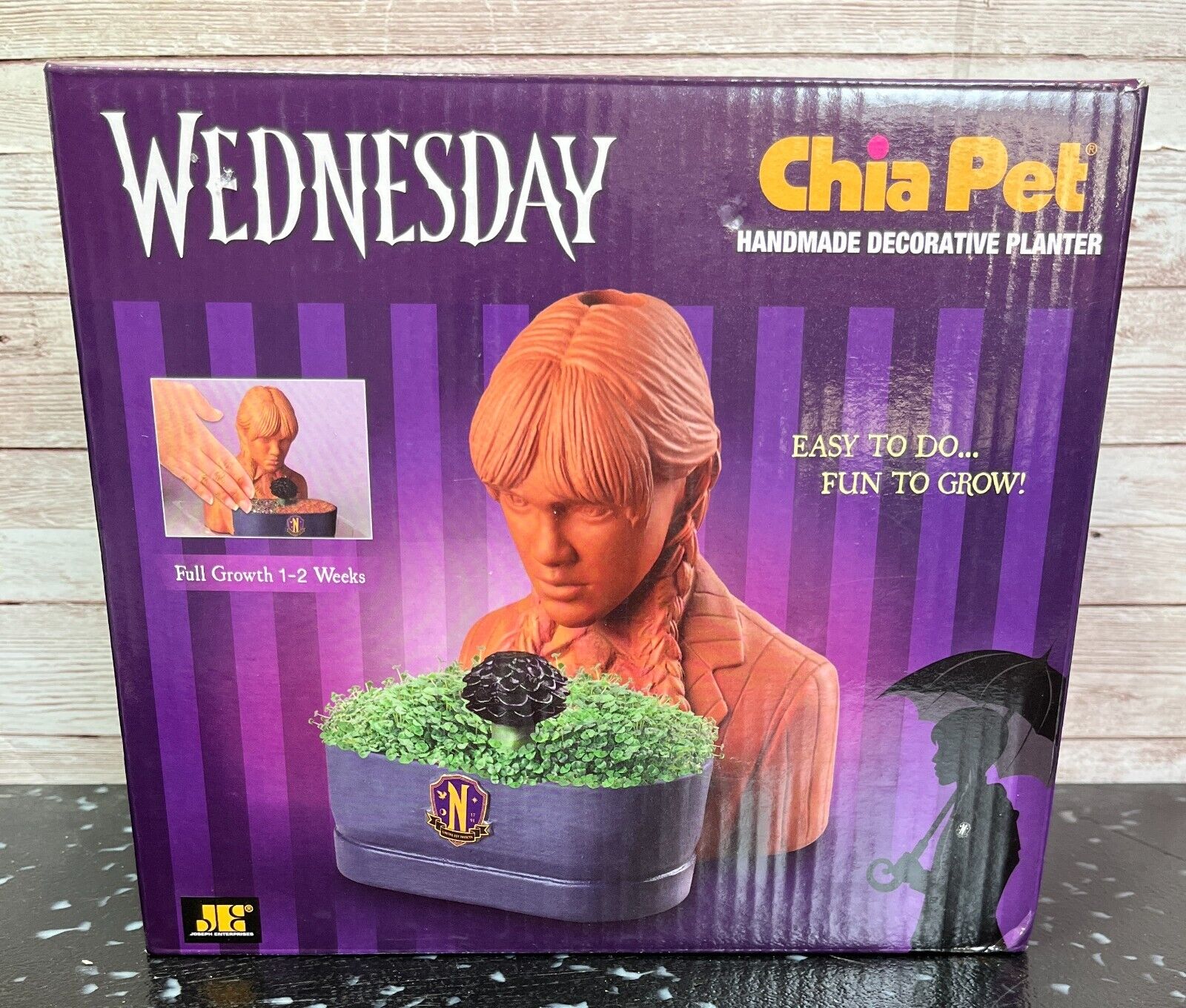 Wednesday Chia Pet Chia Seed Decorative Planter Adams Family