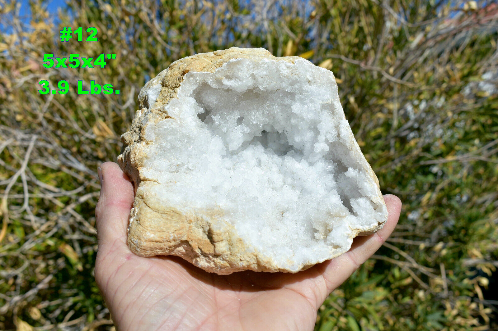 Large OPEN GEODES w/ Quartz Crystal Center * Choose EXACT GEODE * Morocco